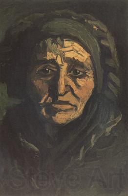 Vincent Van Gogh Head of a Peasant Woman with Dard Cap (nn014)